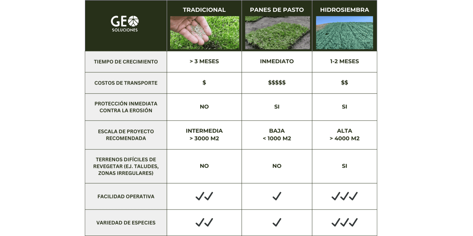 ¿Cuál es el mejor método para revegetar en tu proyecto? 